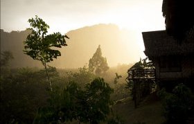 Khao Sok View