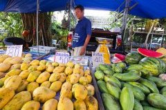 Mango stall