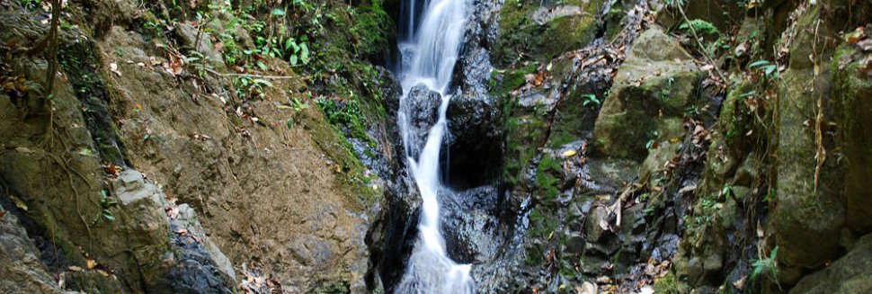 activities in thailand Phuket